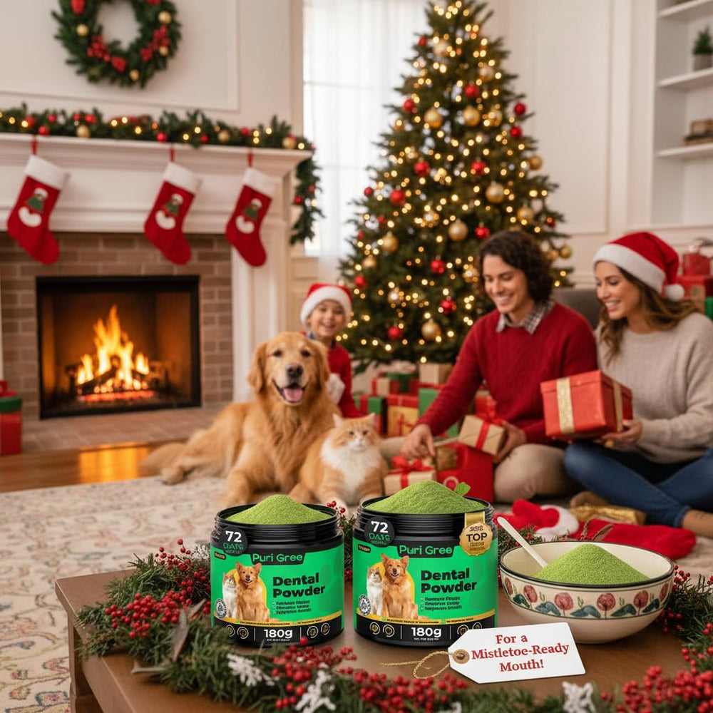 PuriGree nightly-care scene suggests simple, mess-free routine for pet families