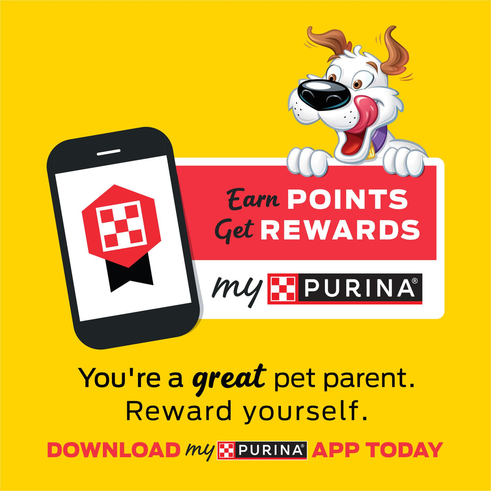 Purina Beggin' Strips Hamlet mascot image conveying bacon appeal.