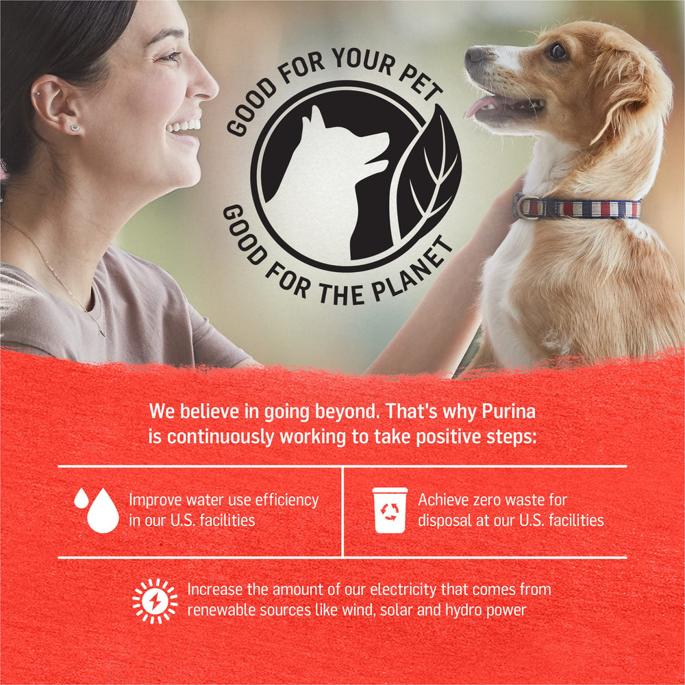 Purina Beyond chicken ingredient panel shows real chicken first ingredient.