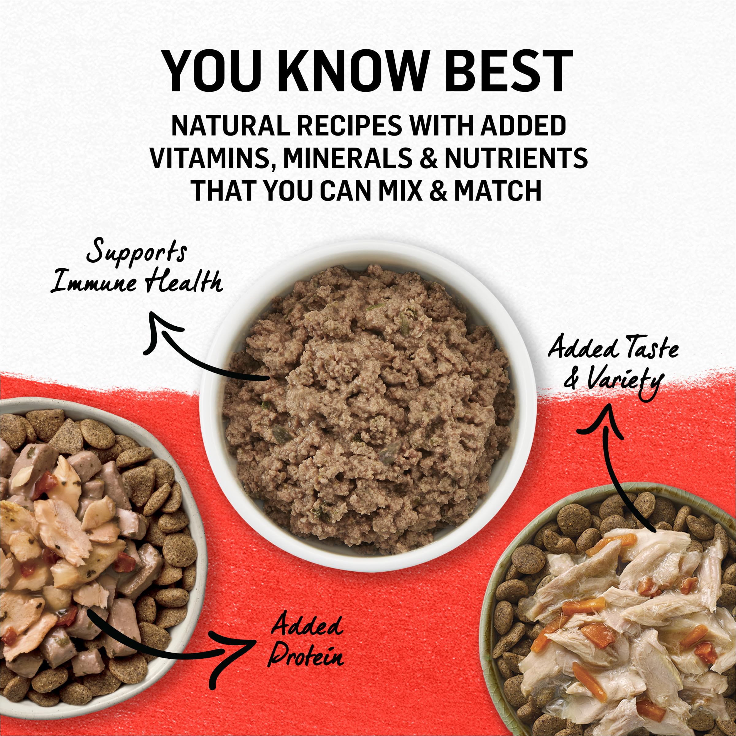 Purina Beyond dog enjoying a bowl of grain-free wet entrees.