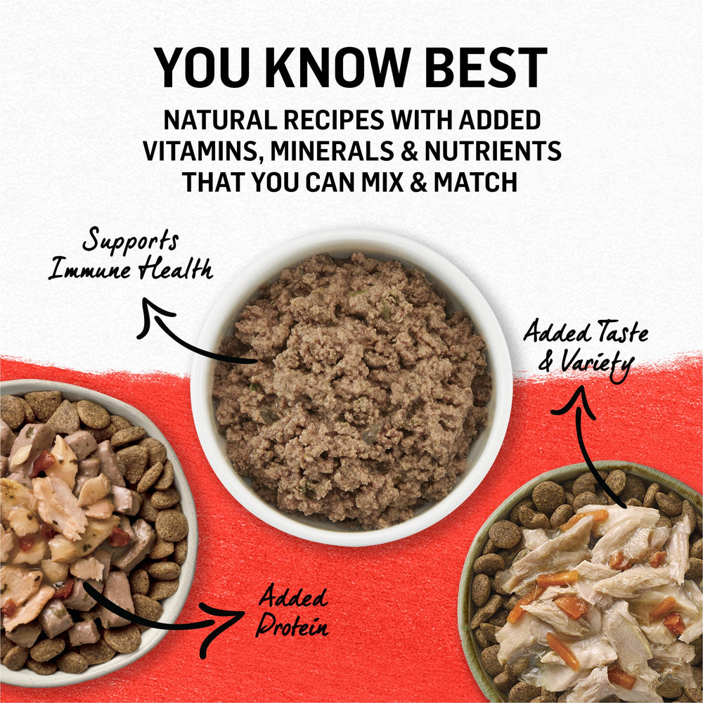 Purina Beyond dog enjoying a bowl of grain-free wet entrees.