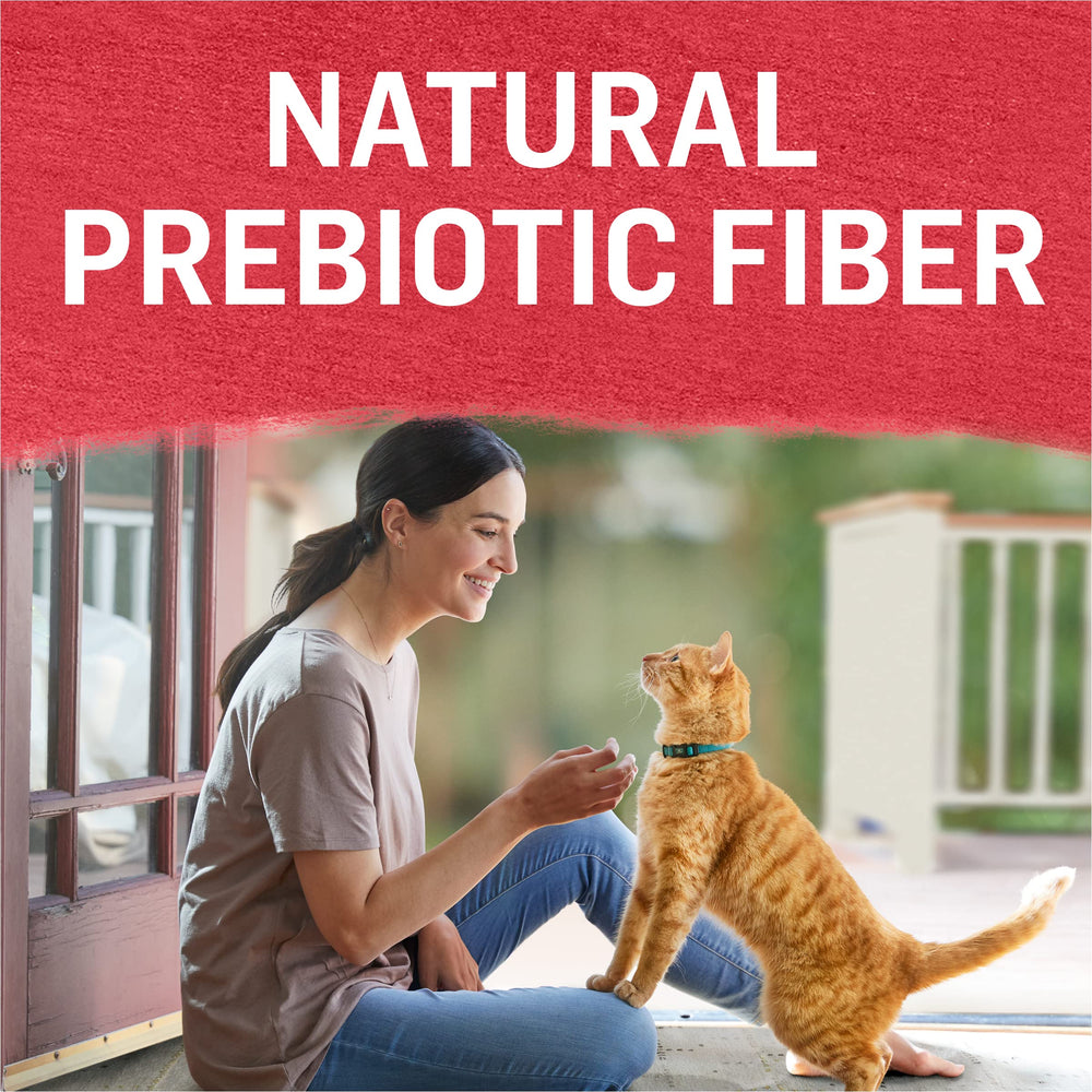 Purina Beyond grain-free cat food image emphasizes no corn or soy.