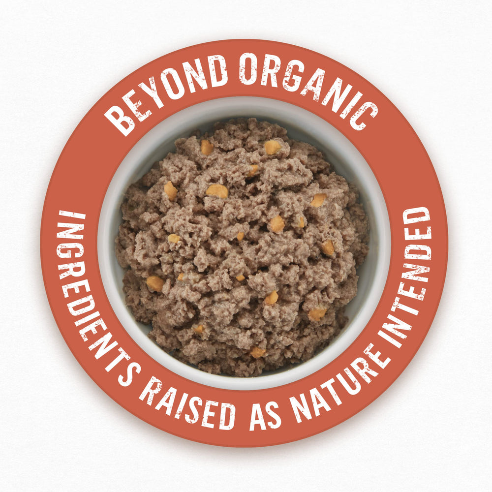 Purina Beyond Organic served in a bowl showing chicken and sweet potato entree