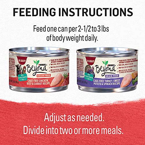 Purina Beyond turkey-sweet-potato-spinach serving image illustrates balanced gravy texture.