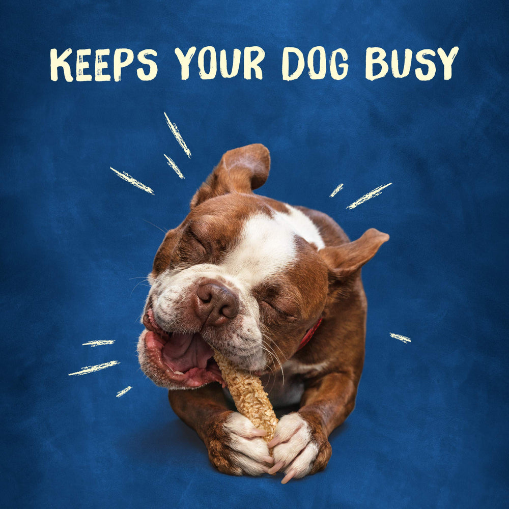 Purina Busy Chewnola centro piel-res, sabor real que encanta