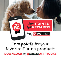 Purina Busy Chewnola tres-capas, diseño visual que invita a masticar