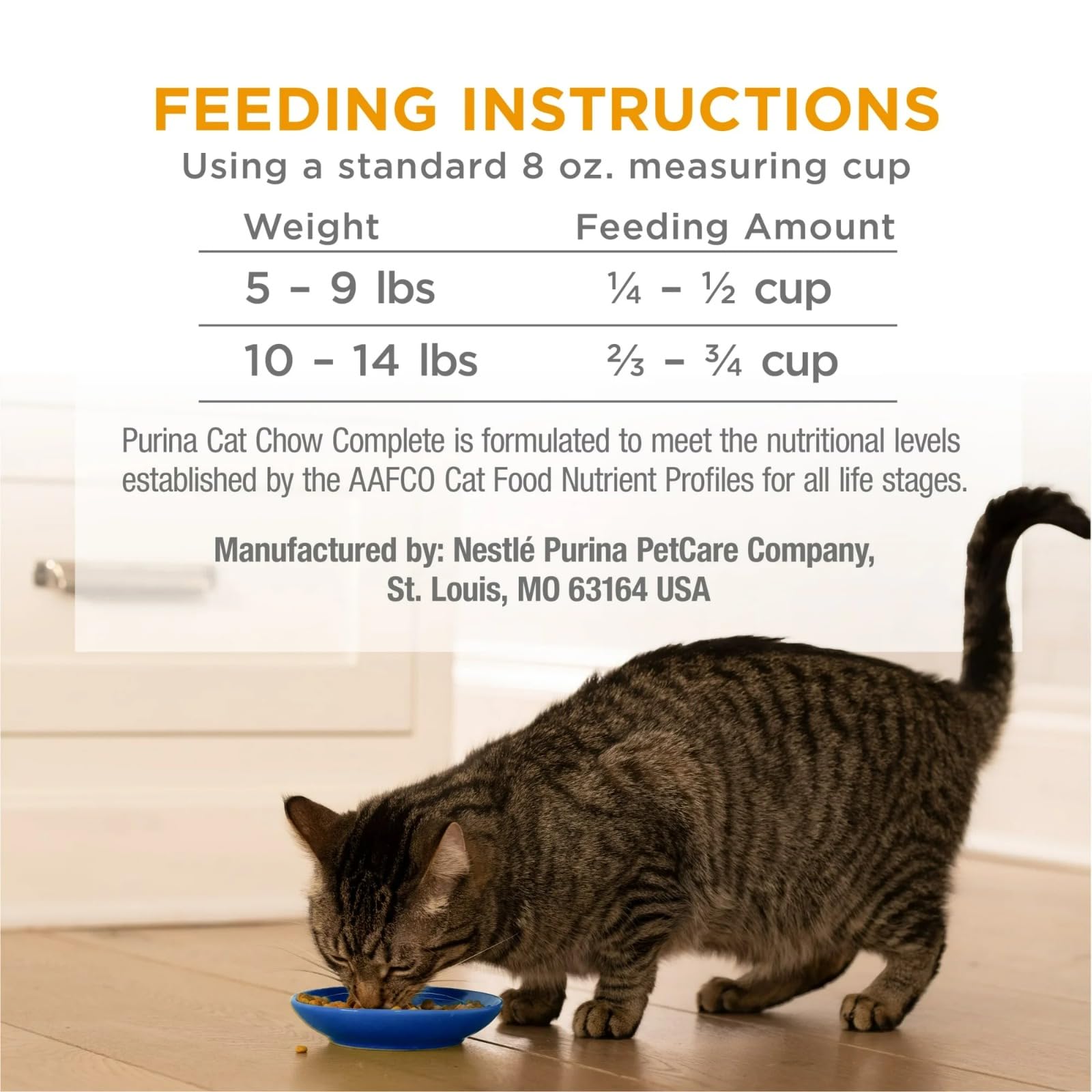 Purina Cat Chow kitten enjoying meal during playtime.