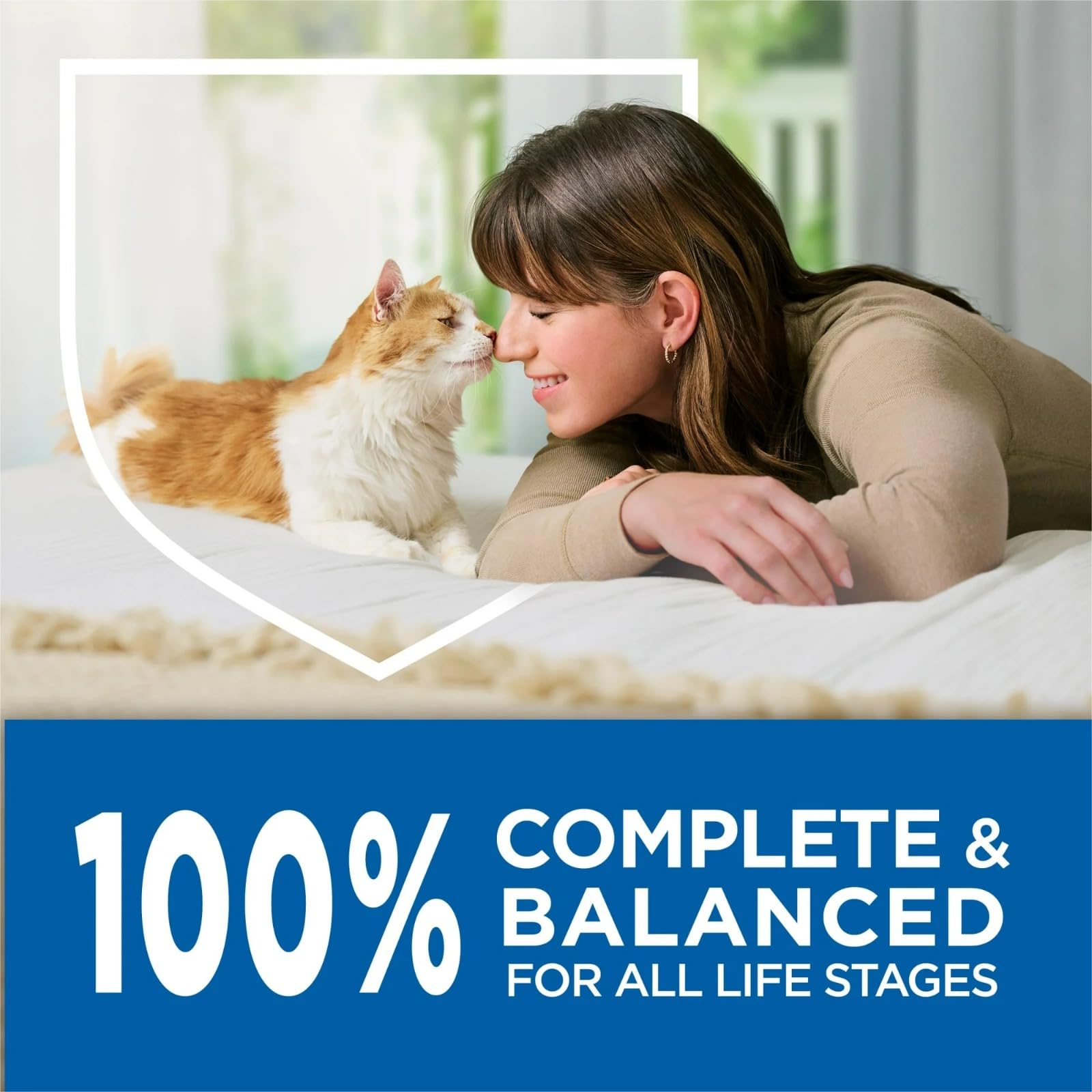 Purina Cat Chow mealtime routine supports consistent feeding.