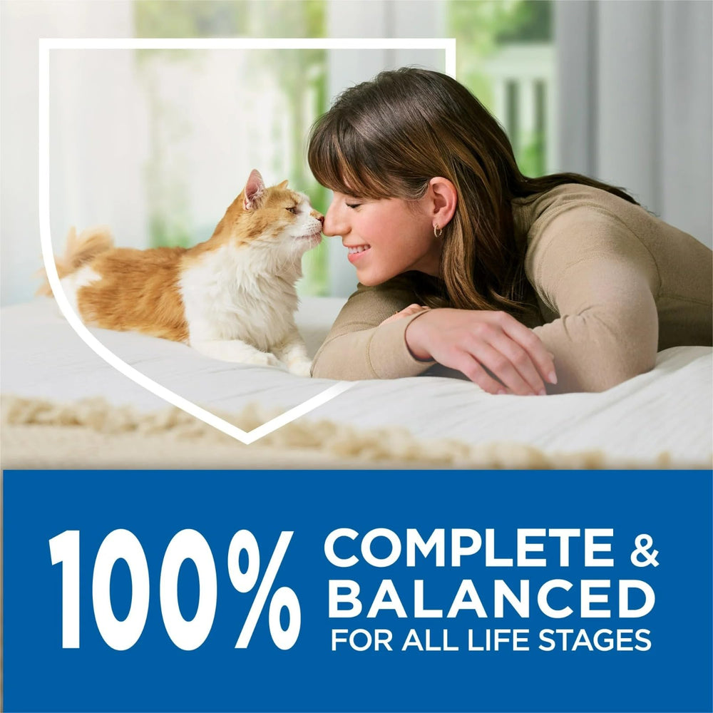 Purina Cat Chow mealtime routine supports consistent feeding.