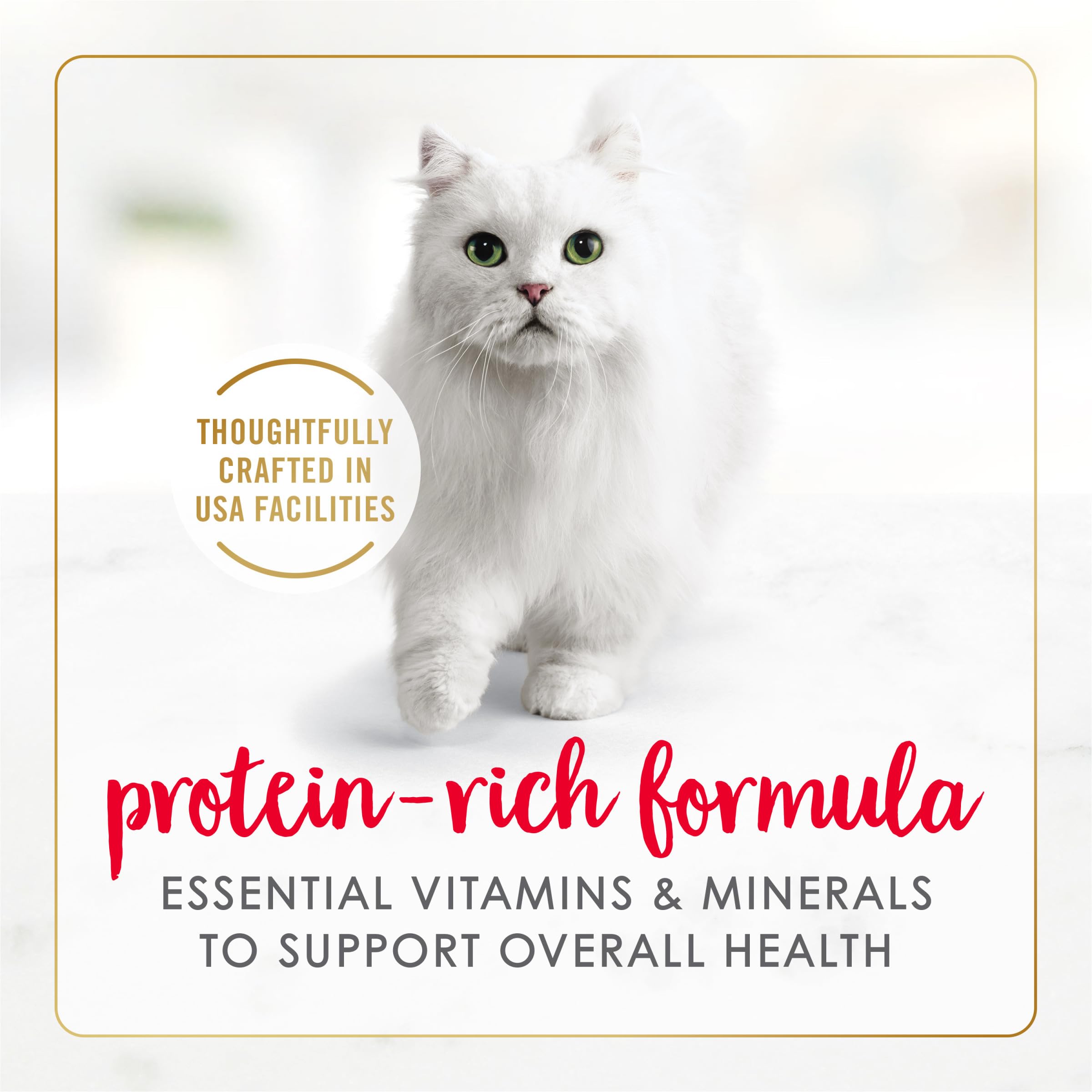 Purina Fancy Feast salsa-gravosa, jugo sabroso para cada comida.
