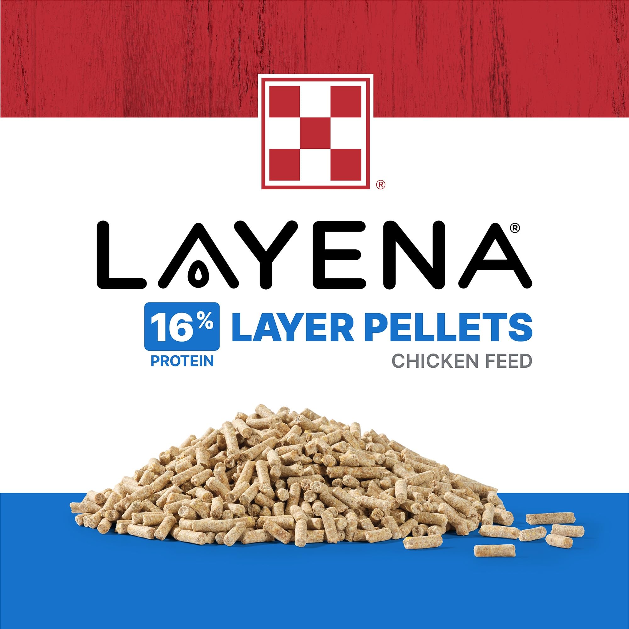 Purina Layena pellets in trough with hen illustrating consistent nutrition access.