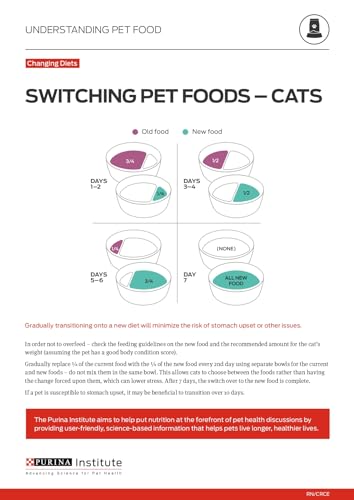 Purina ONE adult cat enjoying meal highlights palatability and urinary health support.