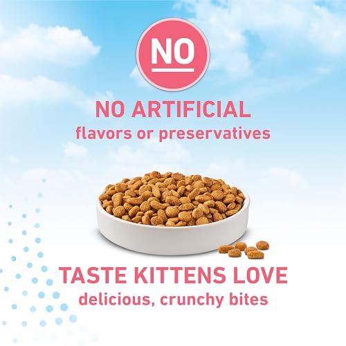 Purina ONE LiveClear 2-8 lb bag on kitchen counter signals convenient packaging.