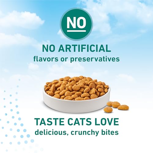 Purina ONE LiveClear digestion-friendly kibble close-up highlights highly digestible ingredients.