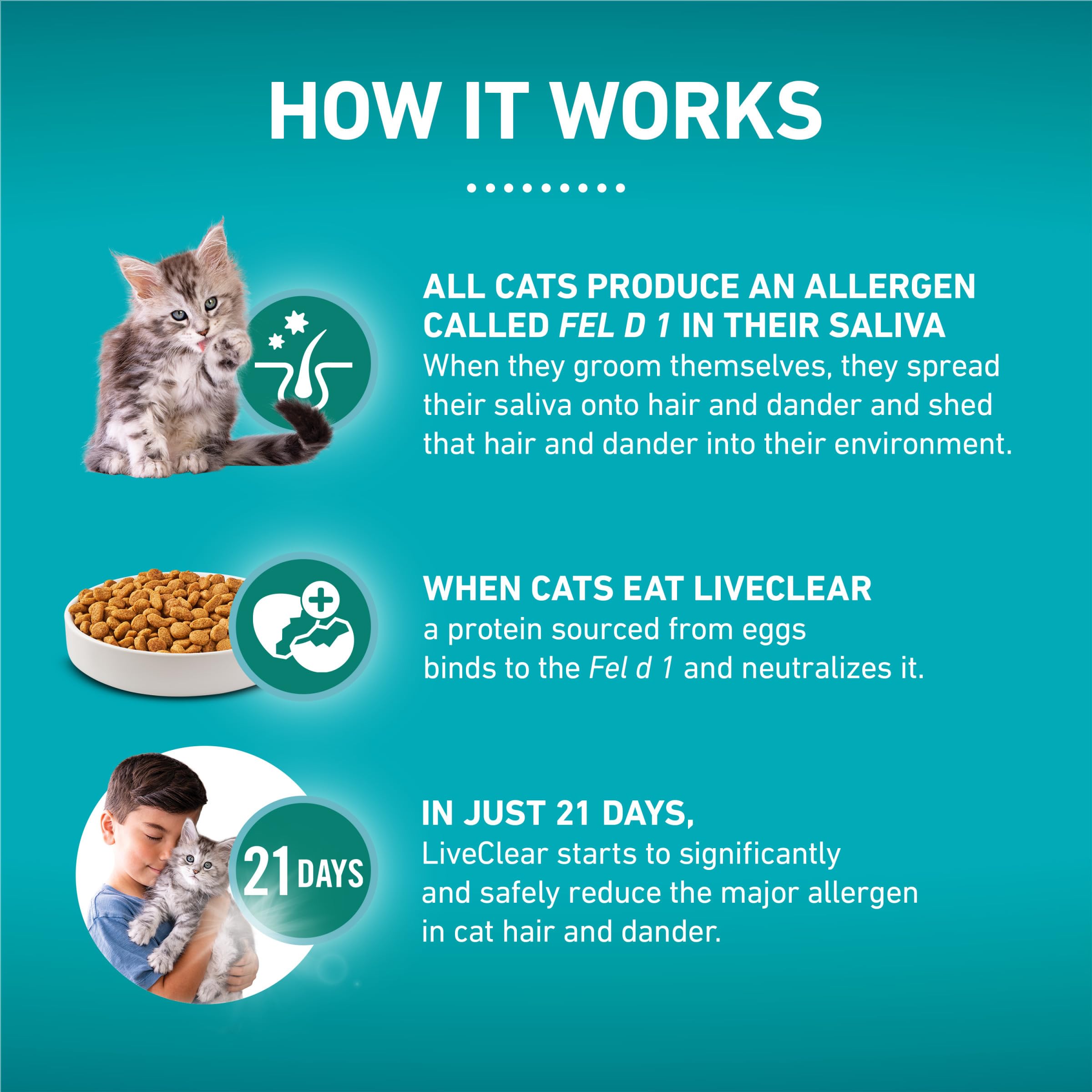 Purina ONE LiveClear kitten bowl feeding scene emphasizes tasty kibble appeal.
