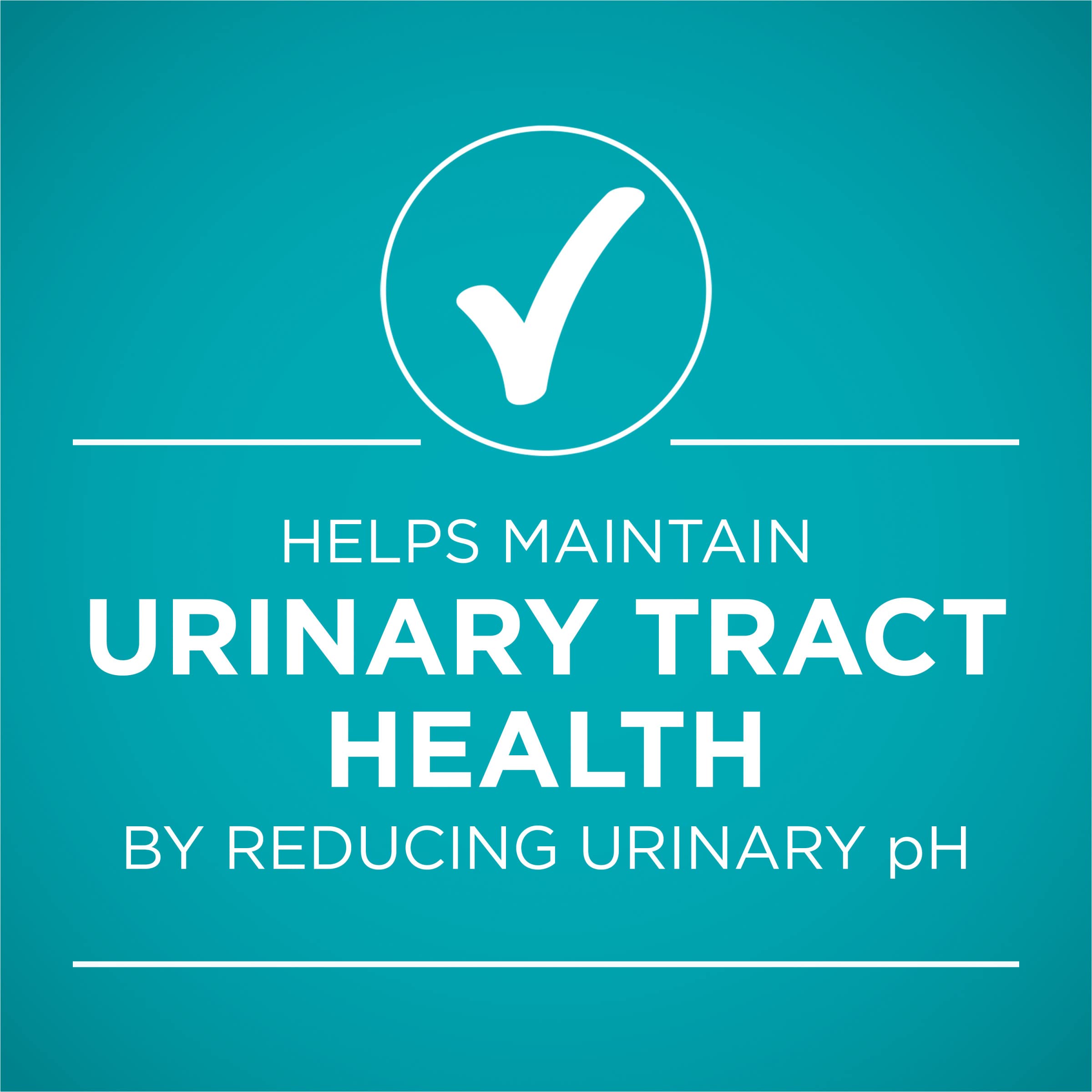 Purina ONE no artificial colors preservatives flavors image communicates cleaner ingredients.