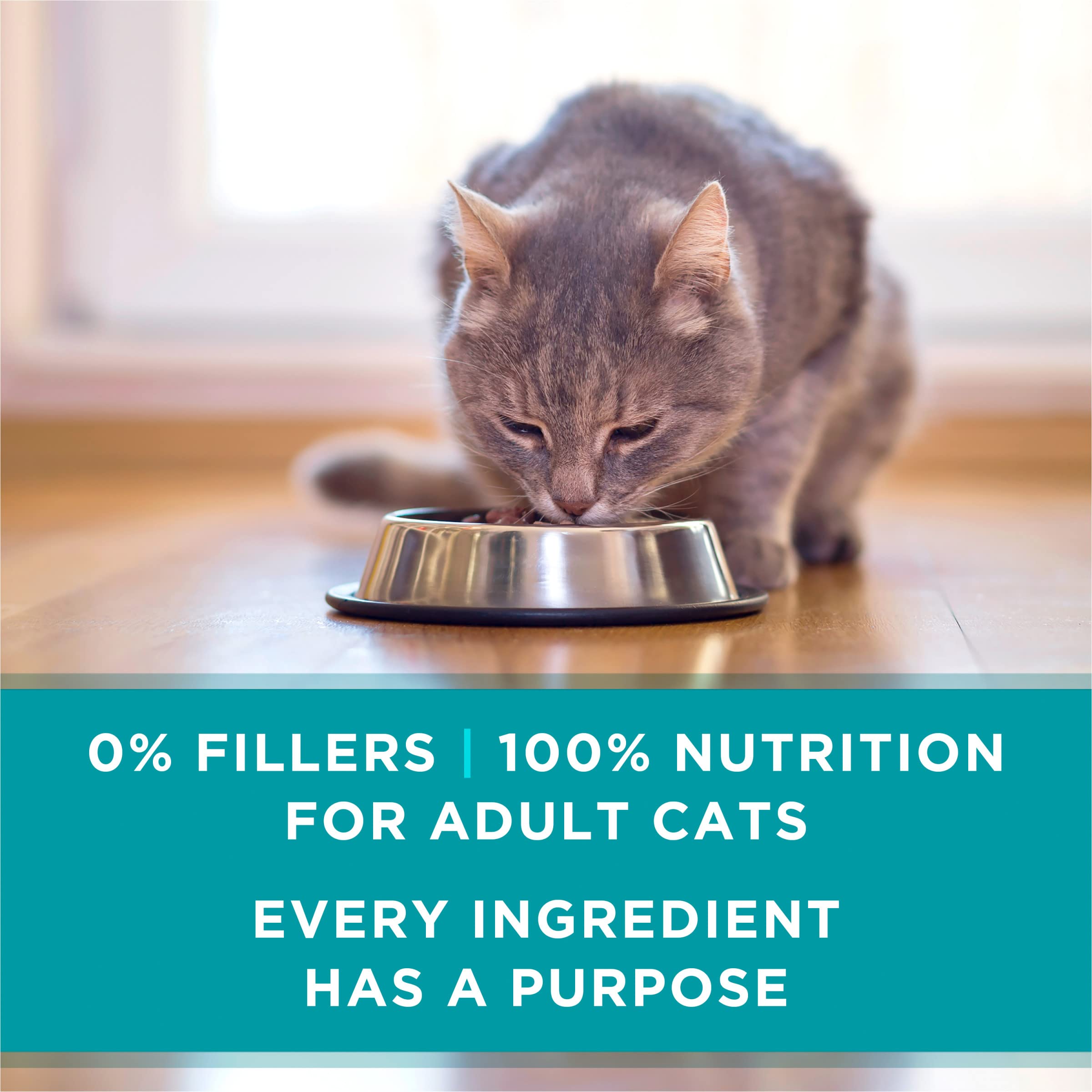 Purina ONE no fillers soy wheat corn highlights high-protein, minimal additives.