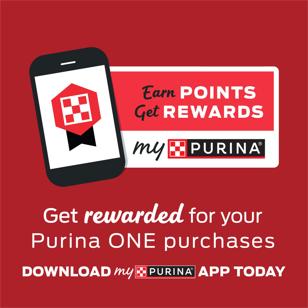 Purina ONE Plus 0 percent fillers graphic emphasizes clean ingredient philosophy.