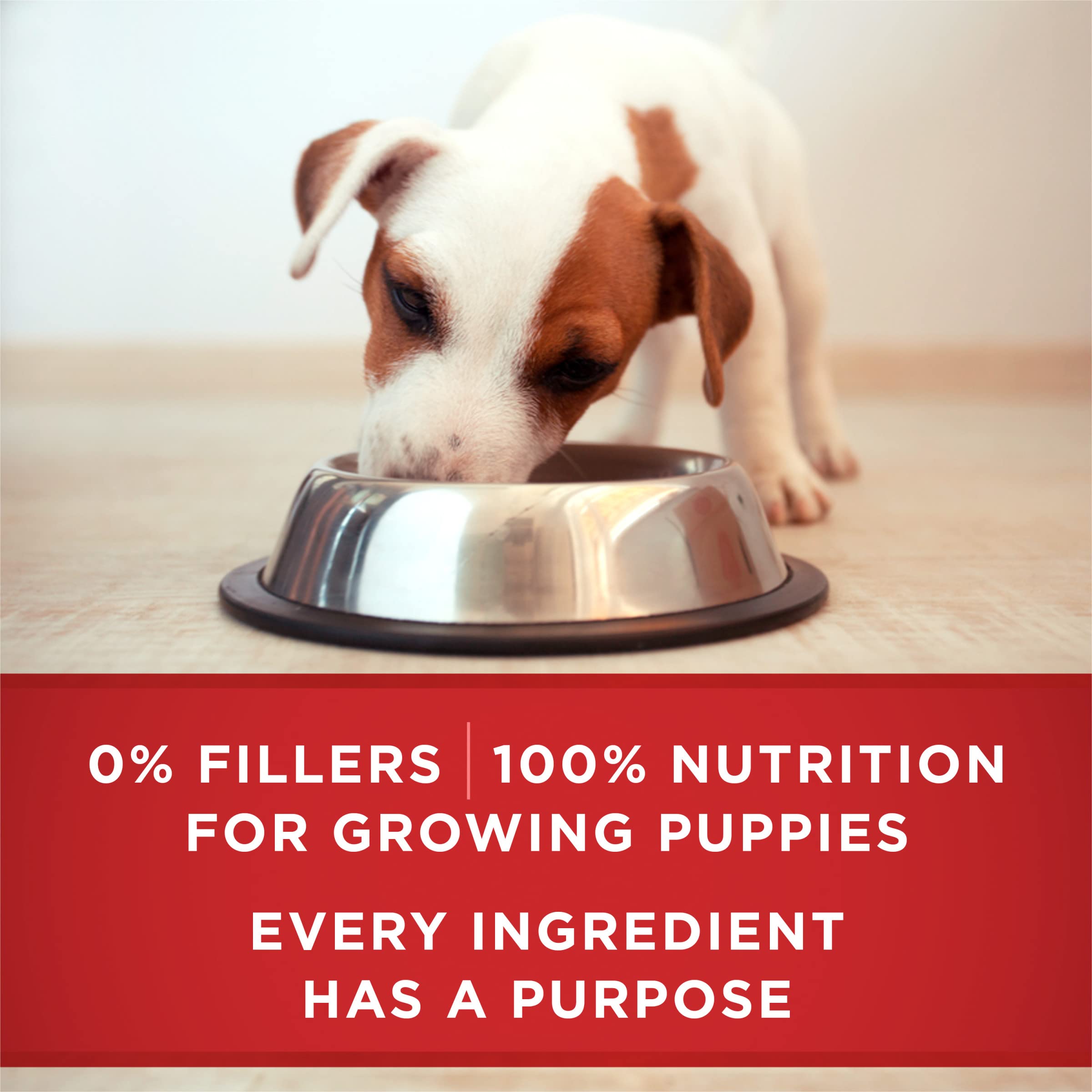 Purina ONE Plus antioxidants seal hints at immune-supporting benefits from a balanced formula.