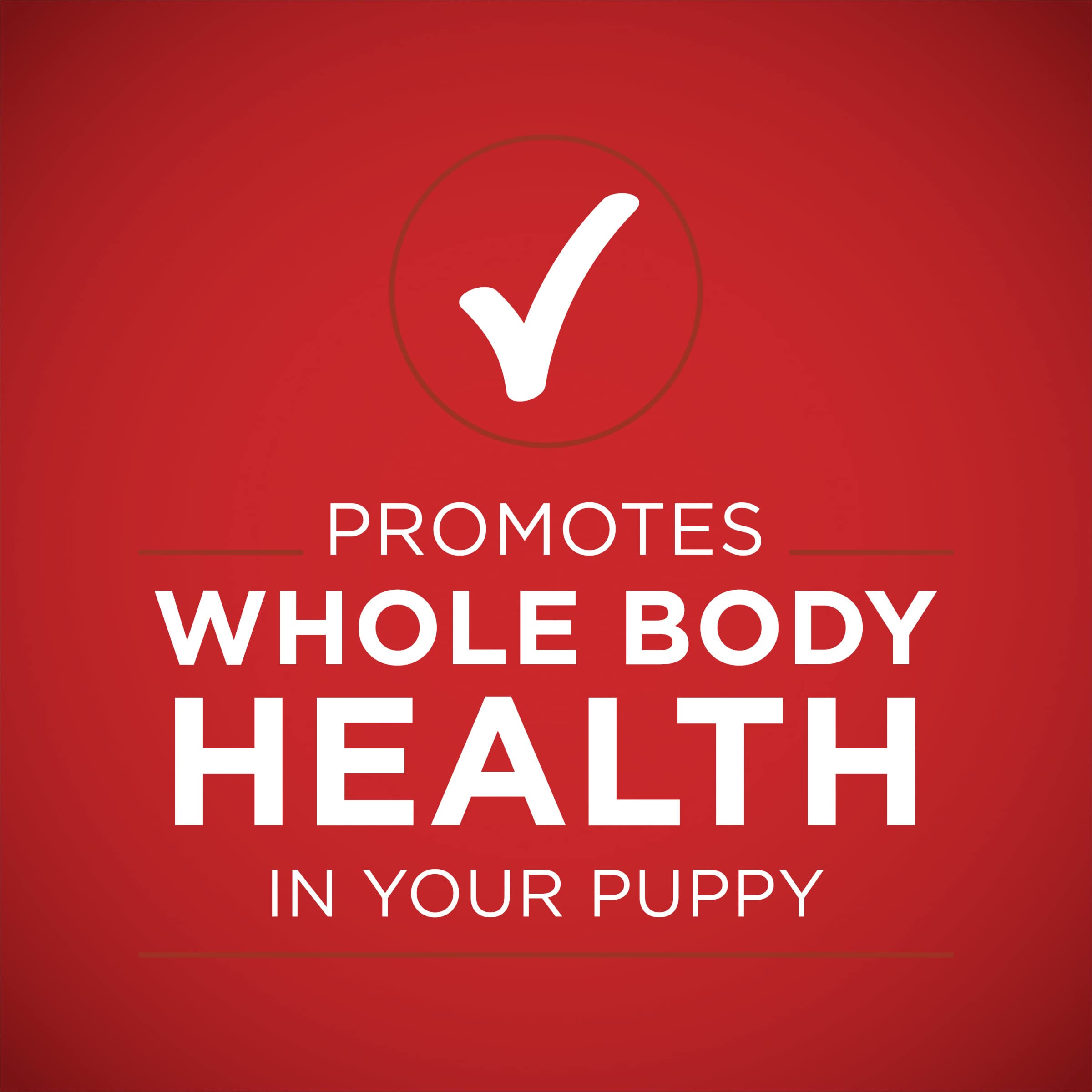 Purina ONE Plus high-protein graphic suggests support for puppy active play and growth.