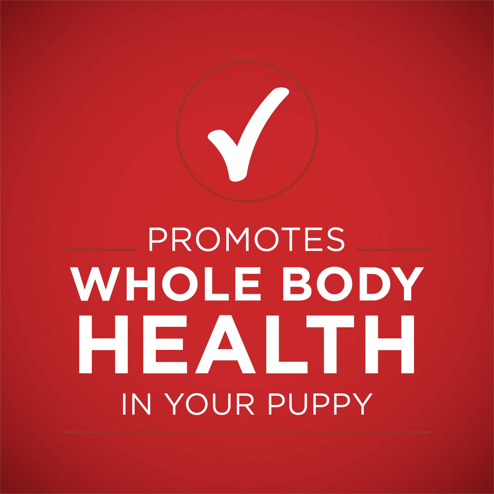 Purina ONE Plus high-protein graphic suggests support for puppy active play and growth.