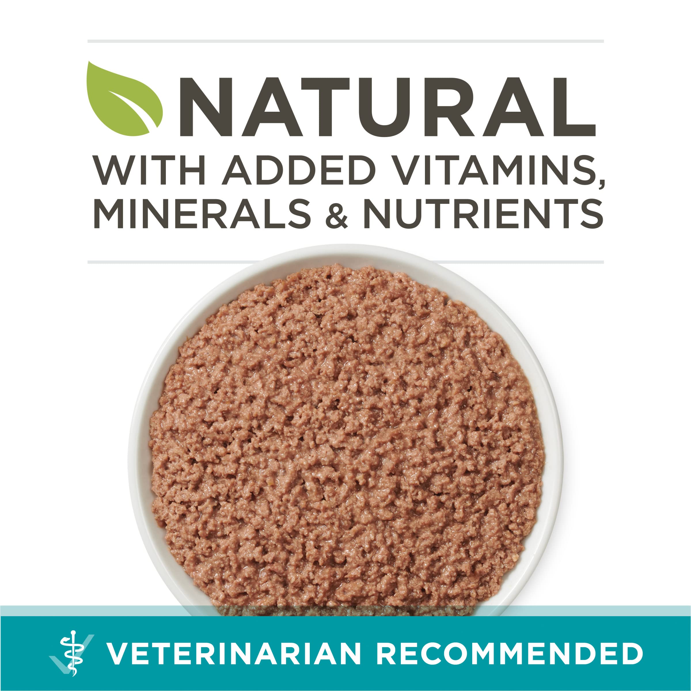 Purina ONE real beef liver pate close-up shows rich, meaty texture cats crave.