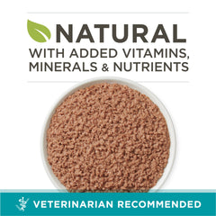Purina ONE real beef liver pate close-up shows rich, meaty texture cats crave.