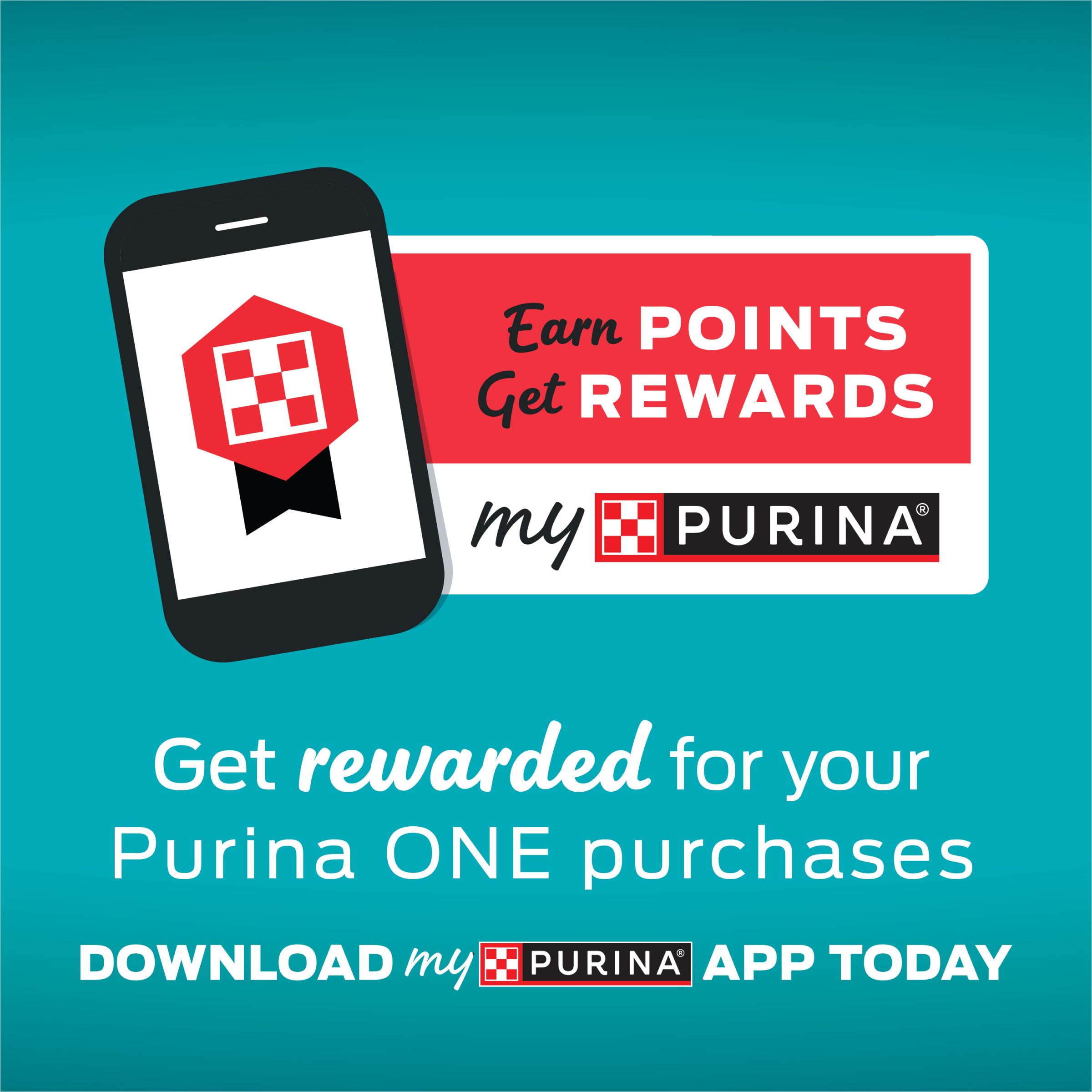 Purina ONE pate cat food serving scooped from can shows ready-to-serve meal.