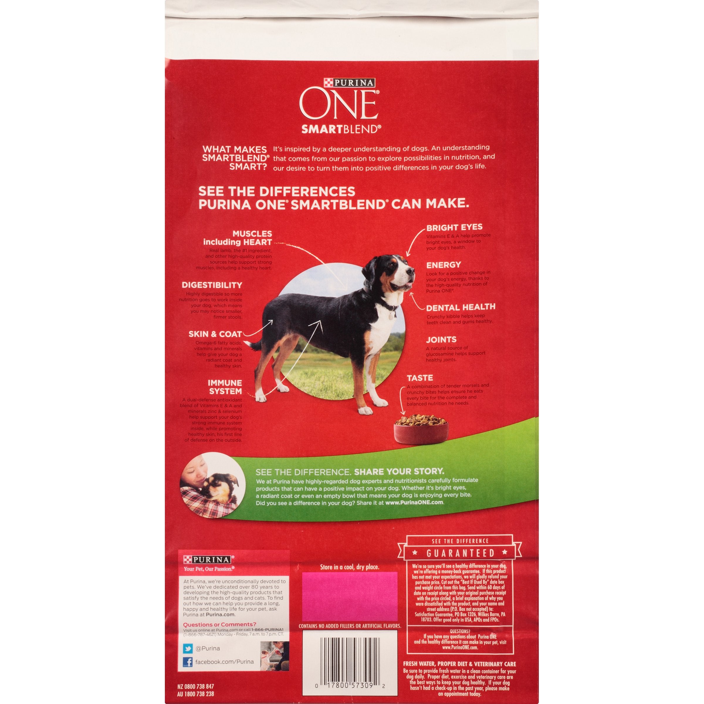 Purina One SmartBlend Lamb Rice bites close-up shows tender morsels and texture