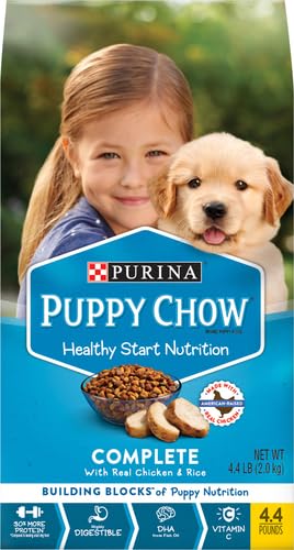 Purina Puppy Chow bowl serving with kibble, fueling playful training sessions.