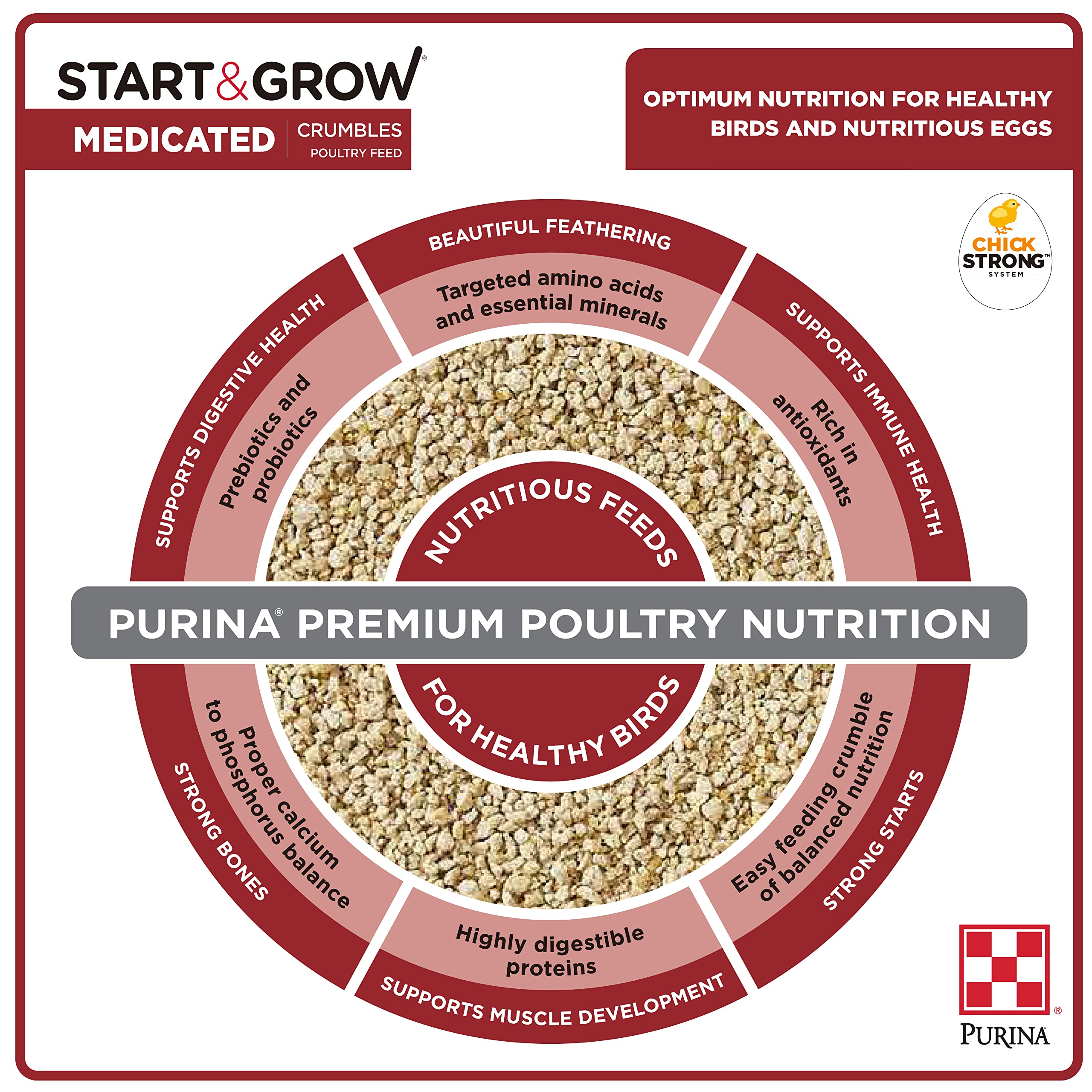 Purina Start & Grow chick-feeding setup with feeder illustrating convenient medicated nutrition.