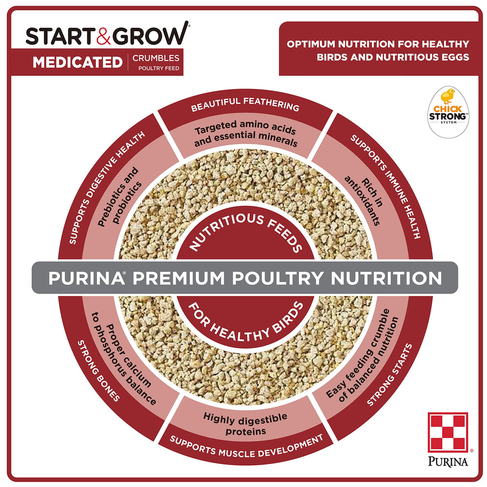 Purina Start & Grow chick-feeding setup with feeder illustrating convenient medicated nutrition.