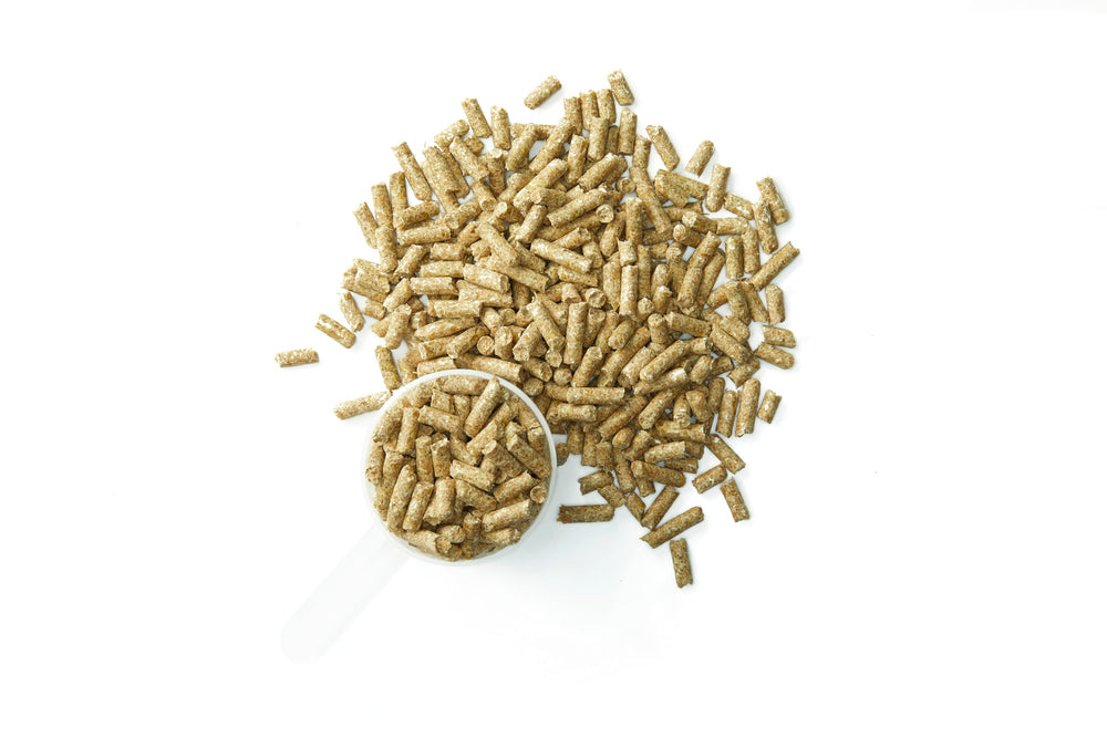 Purina Systemiq probiotic display with horse feed setup in stall.