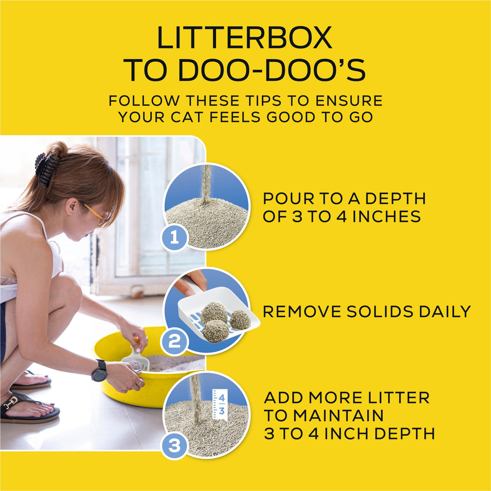 Purina Tidy Cats 24/7 performance tag emphasizes continuous odor control.