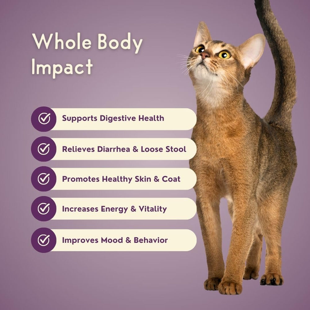 Purple Cat Feline Biome ingredients lineup with real chicken liver