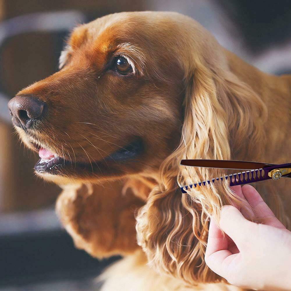 Purple Dragon complete stainless steel build ensures lasting grooming tool performance.