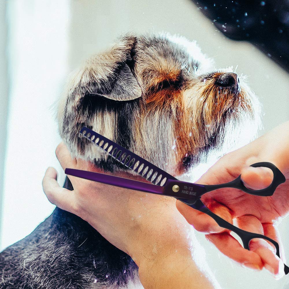 Purple Dragon home grooming setup ready for DIY pet care sessions.