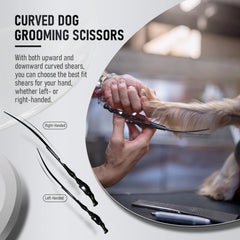 Purple Dragon up-down curved scissors demonstrate versatile cuts for fur detail.