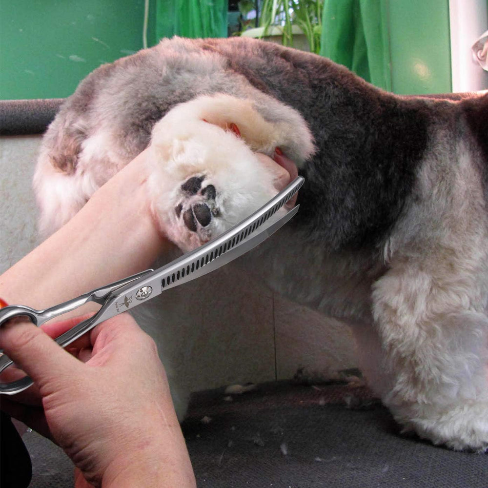 PurpleBird lightweight pet scissors in action for home grooming