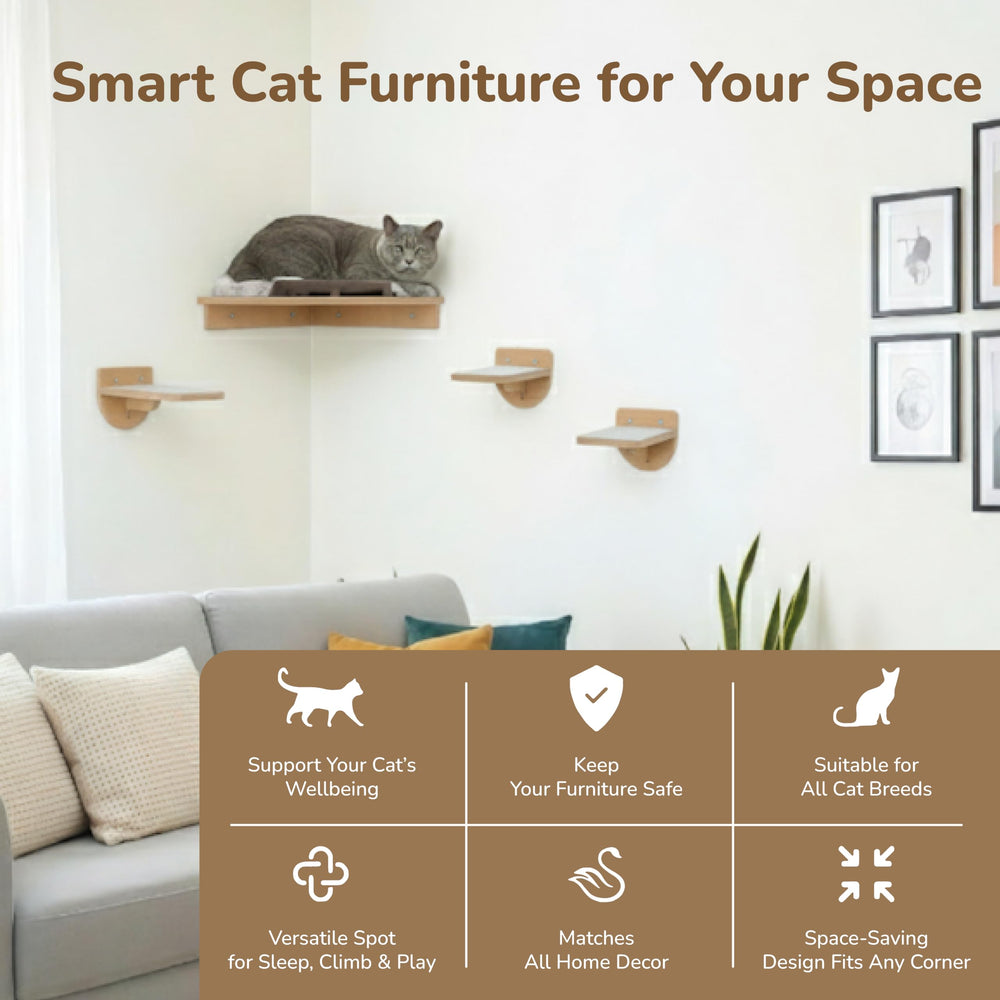 PurrHouse large cats shelf arrangement offers safe lounging and climbing zones