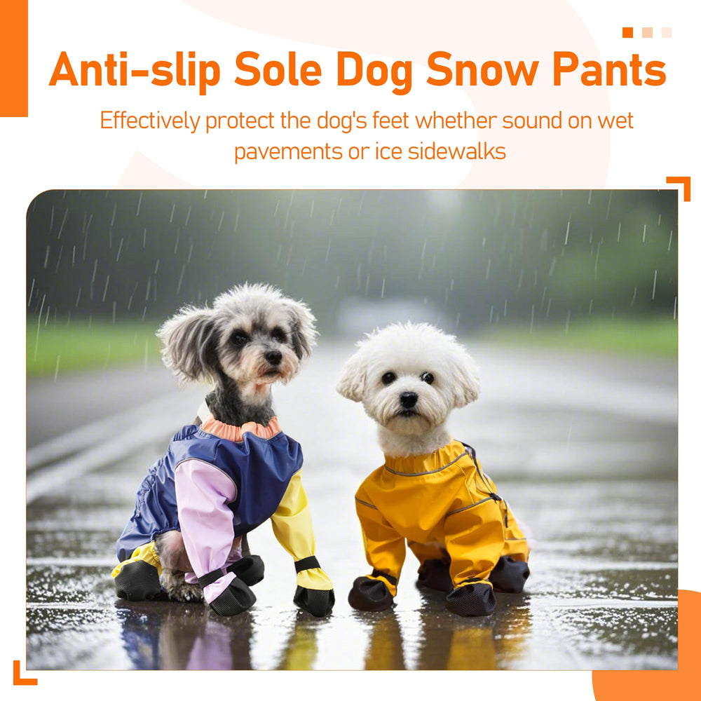 PurrHug paw-protection boots give gentle support during daily walks.
