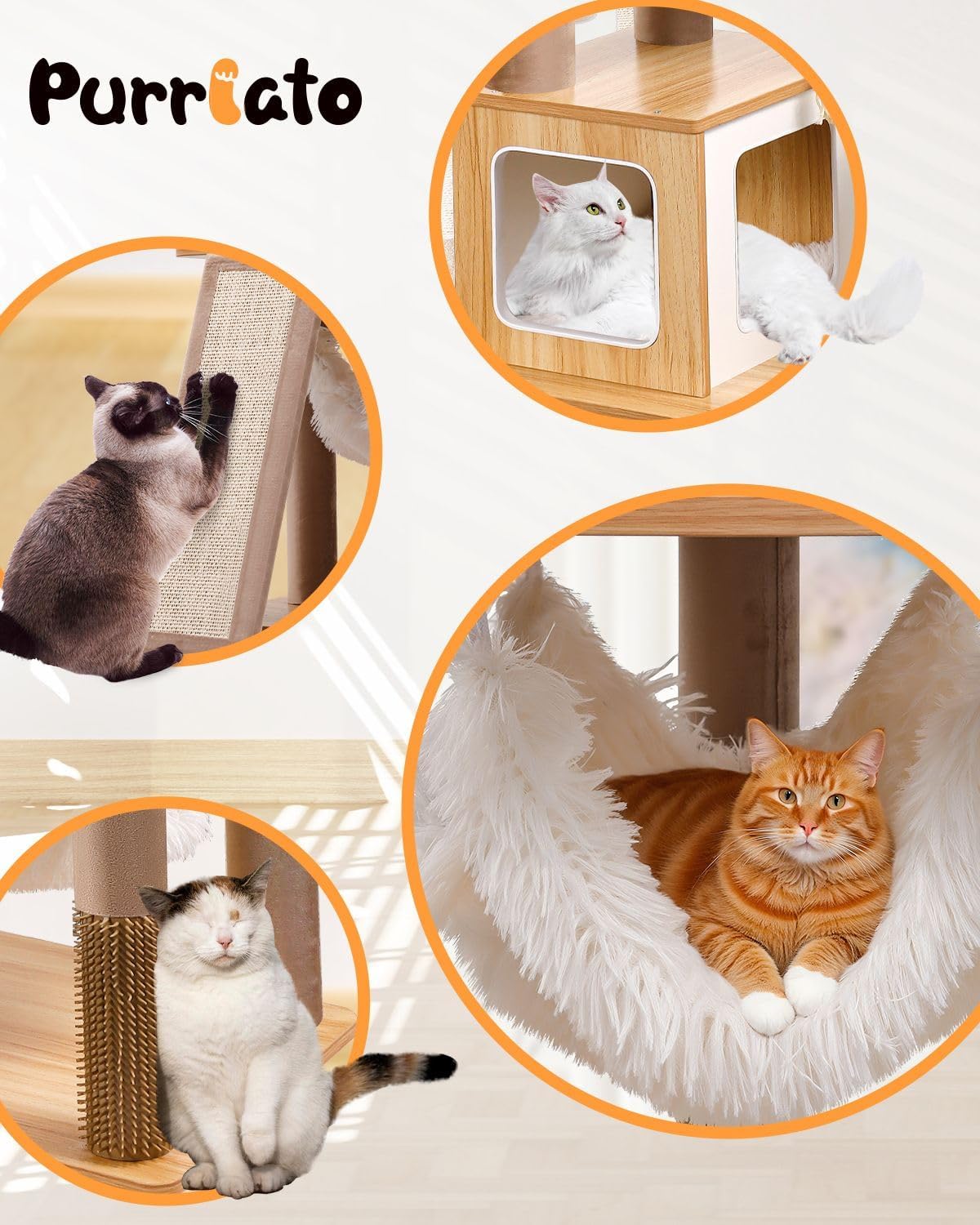 Purrlato 61-inch living room setup blends into decor while supporting felines