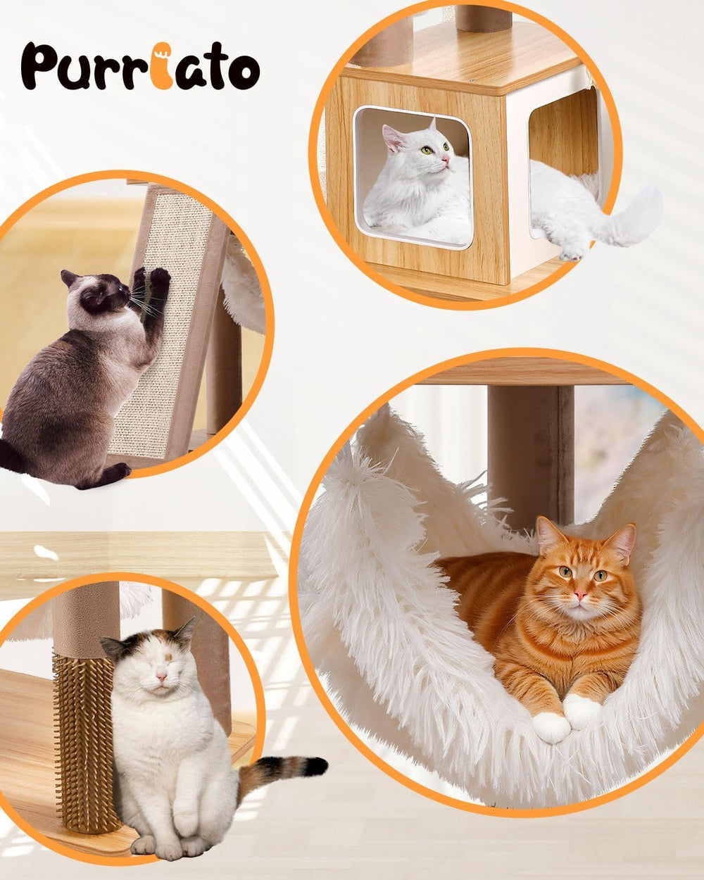 Purrlato 61-inch living room setup blends into decor while supporting felines