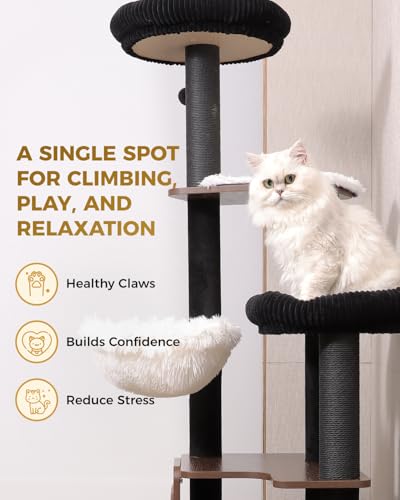 Purrlato 63-inch cat tree hammock area demonstrates versatile lounging for multi-cat households.