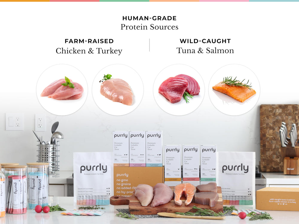 Purrly aroma-broth release entices cats and promotes hydration