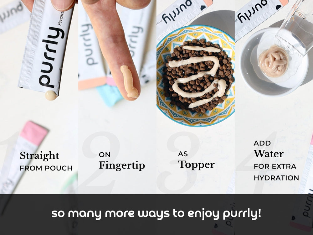 Purrly Treat Topper indoor-cat-use illustrates versatile serving at home