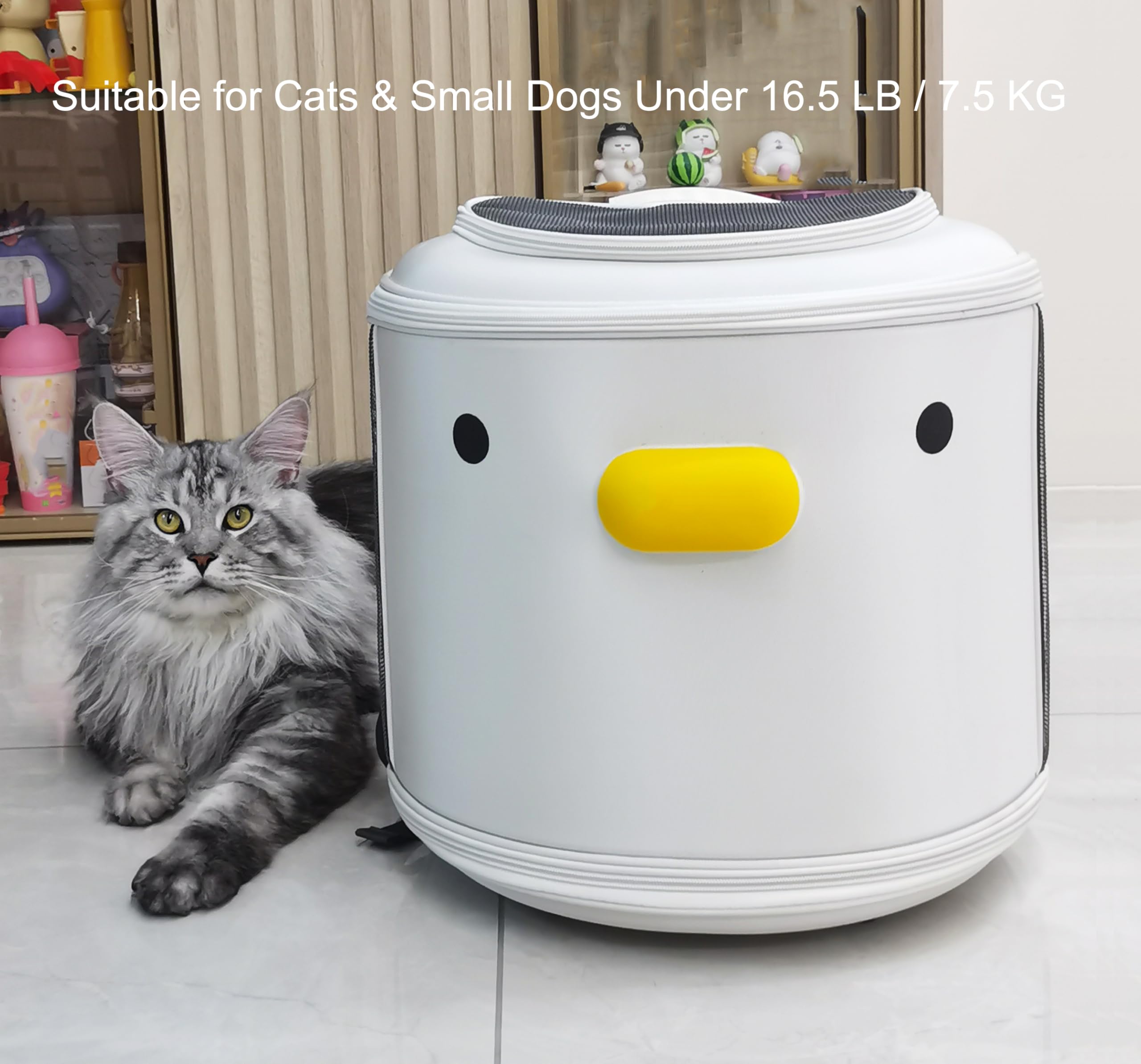 PURROOM reinforced structure keeps pets secure without collapsing on trips.