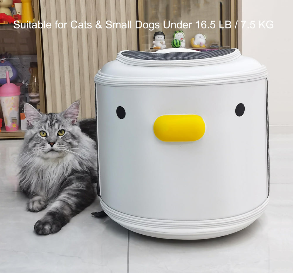 PURROOM reinforced structure keeps pets secure without collapsing on trips.