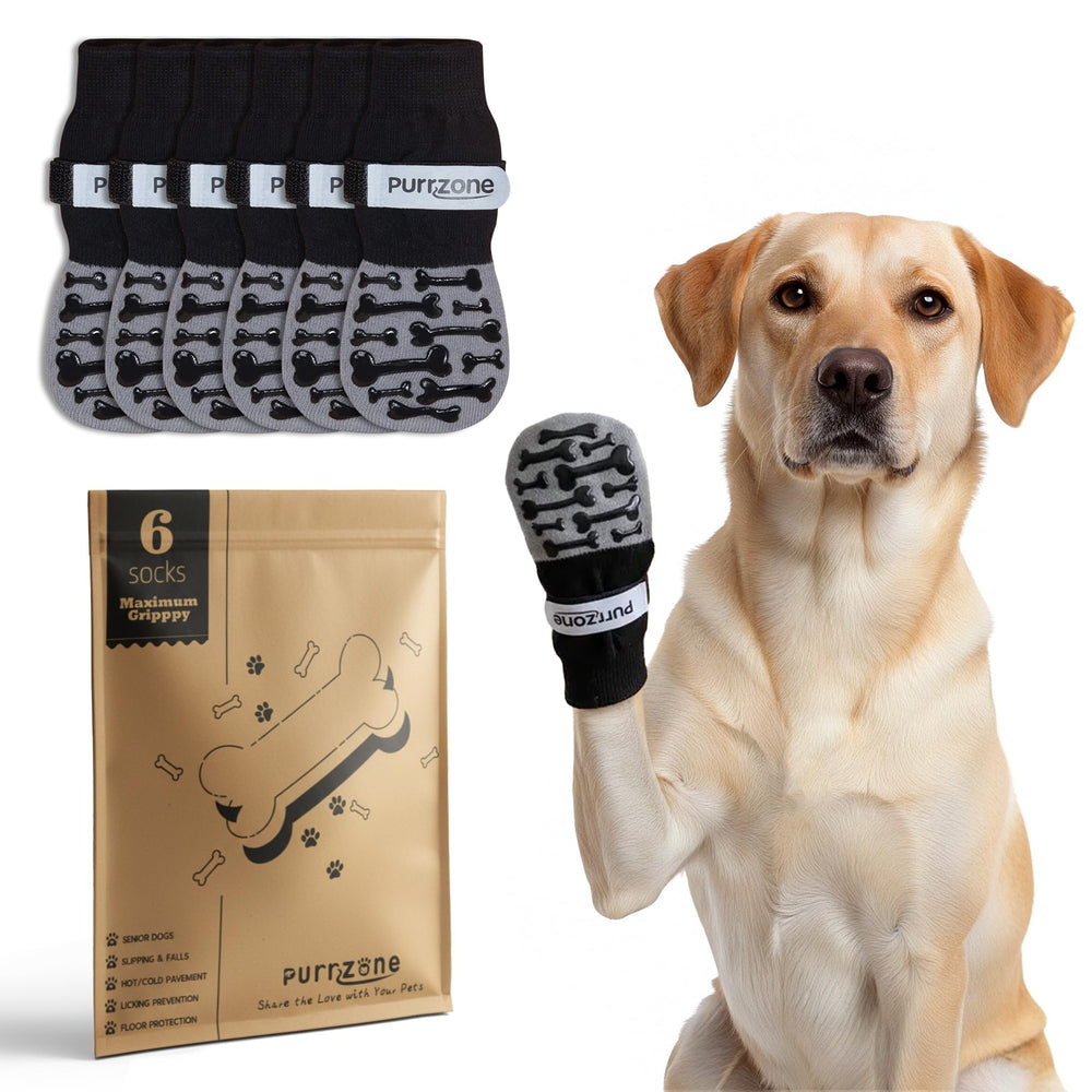 Purrzone bone-pattern socks with silicone grips for secure indoor traction on hardwood floors.