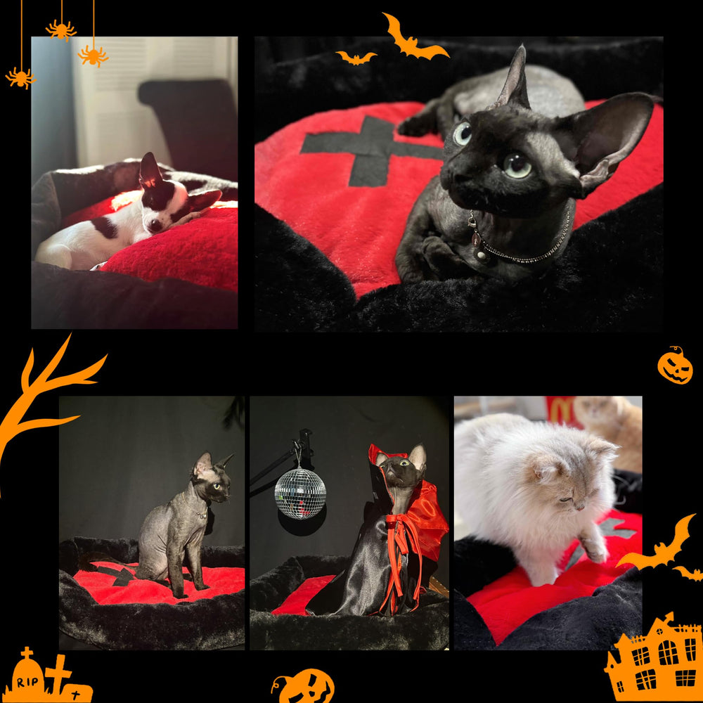Purrzone Gothic cat bed in red and black plush fabric with Halloween flair.